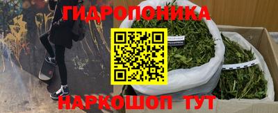 бошки Тверь
