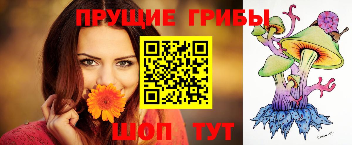 Псилоцибиновые грибы мухоморы Новороссийск